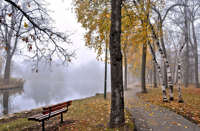 Обои картинки фото природа, парк, туман, пруд, скамья, деревья, осень