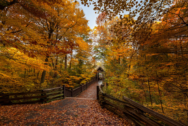 Обои картинки фото природа, парк, осень, краски, листва, дорожка