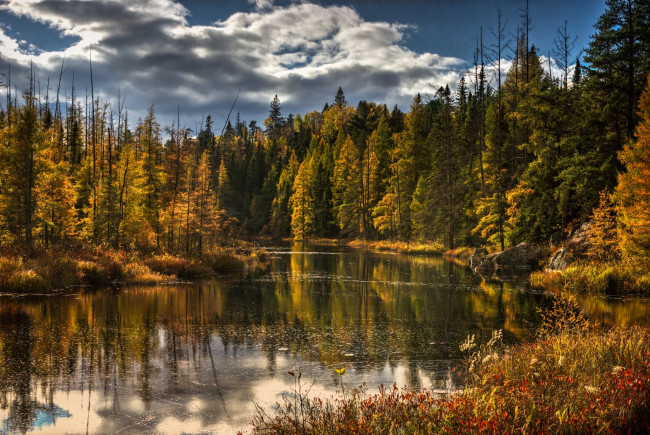 Обои картинки фото природа, реки, озера, озеро, лес, деревья, осень