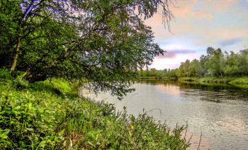 Картинка природа реки озера натура