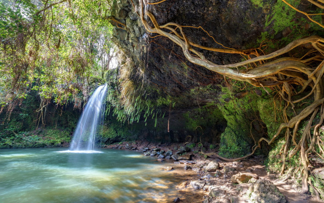 Обои картинки фото природа, водопады, поток, лес