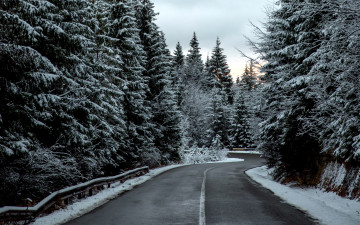 Картинка природа дороги зима снег шоссе
