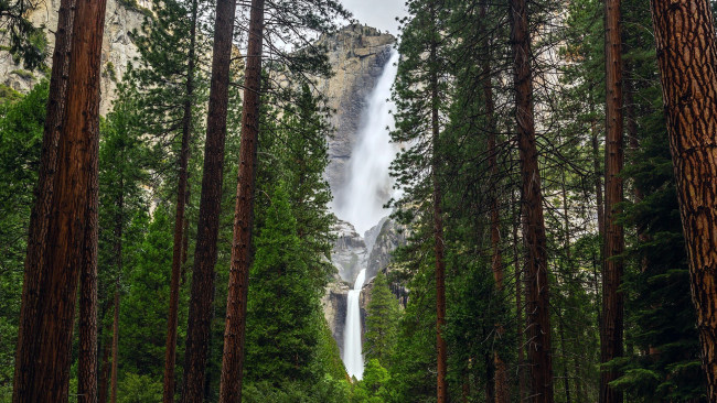 Обои картинки фото yosemite national park, sierra nevada, природа, водопады, yosemite, national, park, sierra, nevada