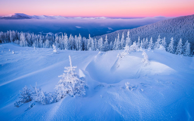 Обои картинки фото природа, зима, сугробы, снег