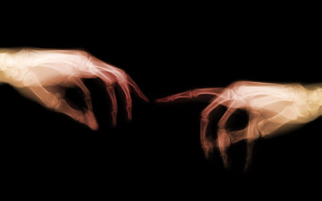 Картинка разное кости +рентген руки