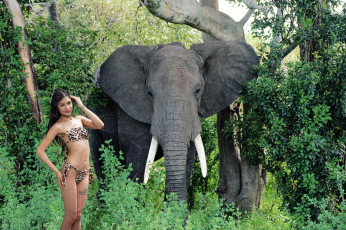 Картинка девушки -+азиатки азиатка слон бикини тату