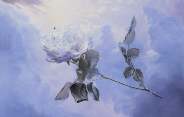 обоя небесный путь, рисованное, алексей антонов, роза, цветок, голубая, облака