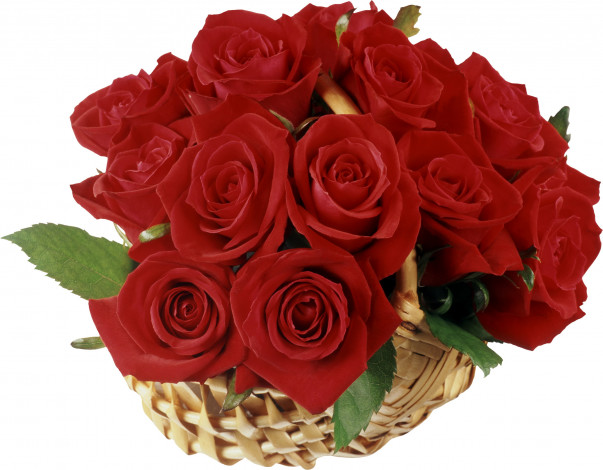 Обои картинки фото цветы, розы, корзинка, красный