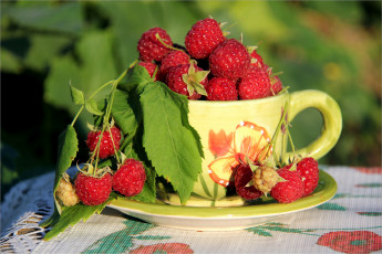 Картинка еда малина ягоды дары лета