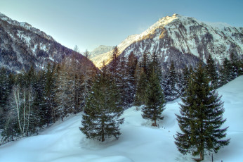Картинка австрийские альпы природа горы ели снег