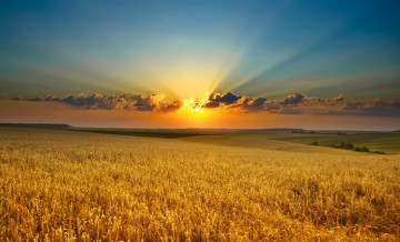 Картинка природа поля поле закат