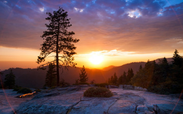 Картинка природа восходы закаты горы лес дерево рассвет