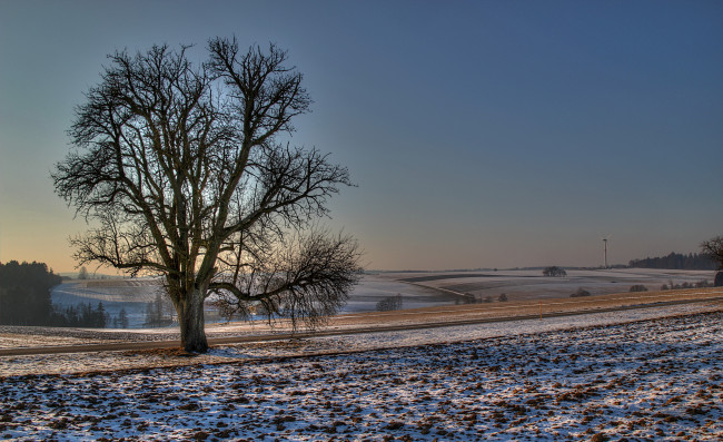 Обои картинки фото германия, альфдорф, природа, поля, снег