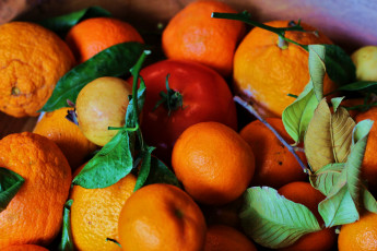Картинка еда фрукты+и+овощи+вместе листок ветка мандарины фрукты
