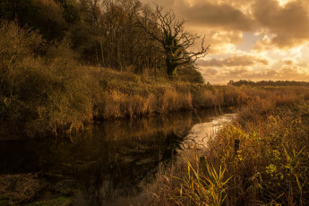 Картинка природа реки озера осень канал деревья трава