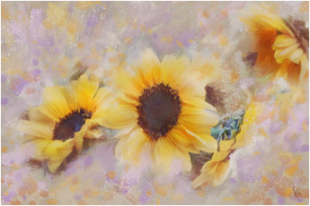 Картинка рисованные цветы подсолнухи