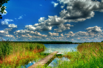 Картинка озеро+& 321 ukcze+польша природа реки озера камыши люблин польша озеро