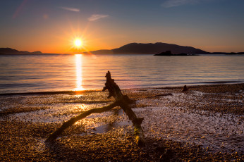Картинка природа восходы закаты лучи солнце острова коряга пляж