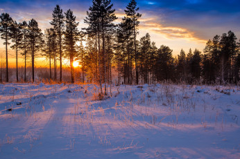Картинка природа зима закат лес снег