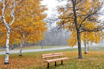 Картинка природа парк листья осень дорожка деревья