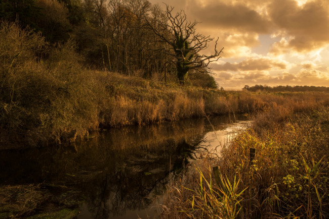 Обои картинки фото природа, реки, озера, осень, канал, деревья, трава
