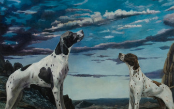 обоя рисованное, животные,  собаки, картина, норвежский, художник, christer, karlstad, wonder, dog