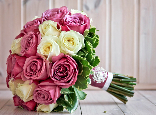 Обои картинки фото цветы, розы, кремовый, розовый