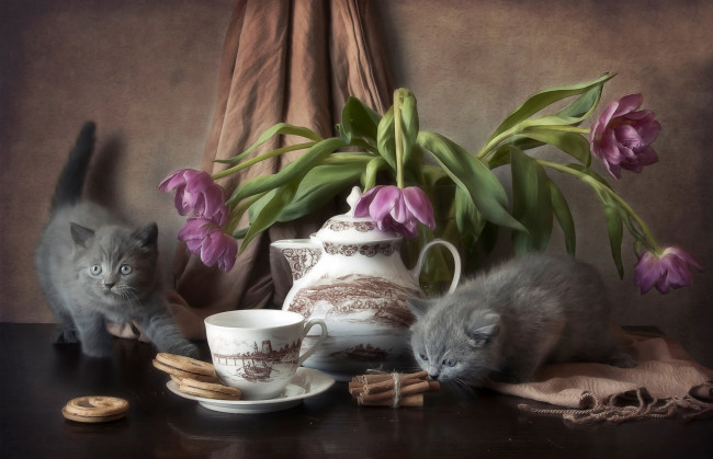 Обои картинки фото животные, коты, котята, стол, печенье, цветы