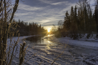 Картинка природа зима снег