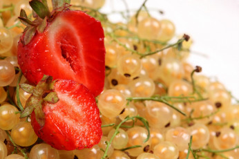 Картинка еда фрукты +ягоды клубника смородина