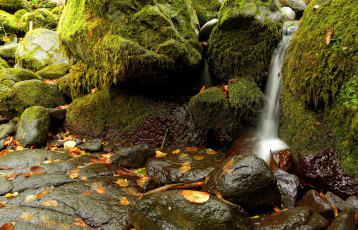 Картинка природа водопады мох вода камни