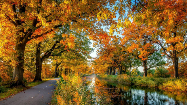 Обои картинки фото природа, дороги, дорога, река, осень