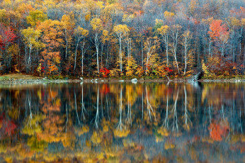 Картинка природа реки озера осень лес разноцветный отражение