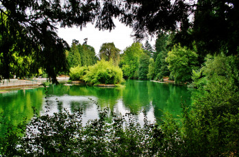 Картинка природа парк зелень водоем