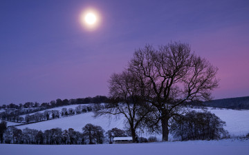 Картинка природа зима вечер дерево дом