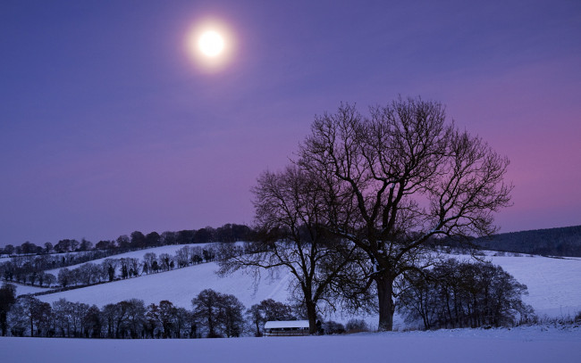 Обои картинки фото природа, зима, вечер, дерево, дом