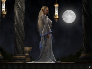 Картинка 3д+графика elves+ эльфы эльфийка ночь луна