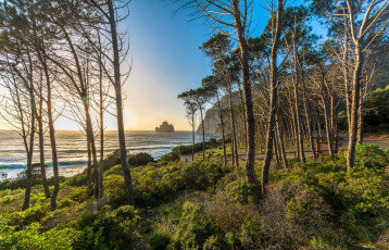 Картинка природа побережье океан берег скалы деревья горизонт свет