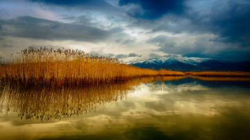 Картинка природа реки озера горы озеро тучи тростник отражение