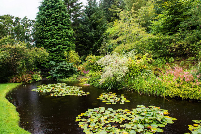 Обои картинки фото природа, парк, attadale, gardens, strathcarron, scotland