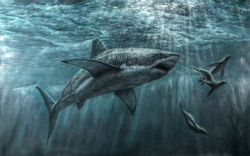 Картинка рисованное животные +рыбы тюлень хищник море акула