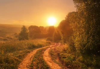 Картинка природа восходы закаты лес рассвет дорога