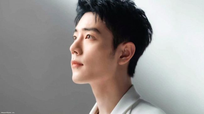 Обои картинки фото мужчины, xiao zhan, актер, лицо, пиджак