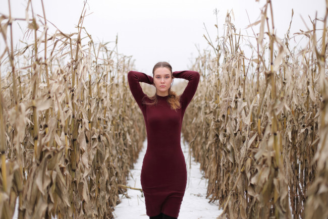 Обои картинки фото девушки, - брюнетки,  шатенки, красное, платье, кукурузнoe, поле, брюнeтка