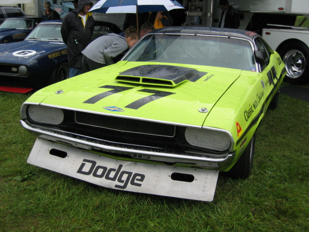 Обои картинки фото dodge, challenger, 1970, автомобили