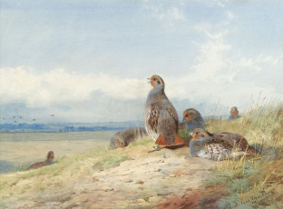 Картинка рисованные archibald thorburn