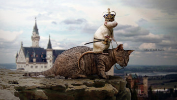 Картинка разное компьютерный дизайн кот крыса замок