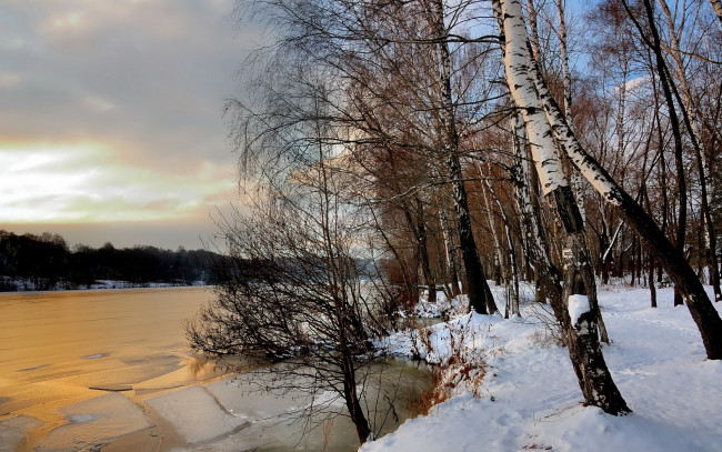 Обои картинки фото природа, зима, озеро, берёзы