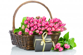 обоя цветы, тюльпаны, букет, подарок