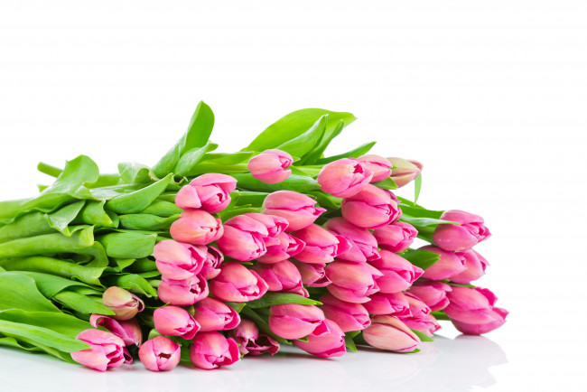 Обои картинки фото цветы, тюльпаны, букет, подарок